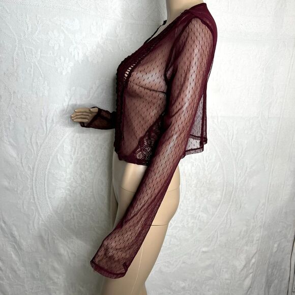 Maroon Lace Mesh Long Sleeve Crop Top - Picture 2 of 8